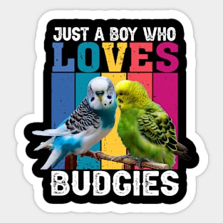 Rainbow Wings: Just A Boy Who Loves Budgies Graphic Tee Sticker